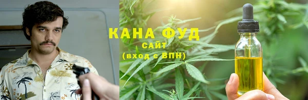 PSILOCYBIN Богородицк