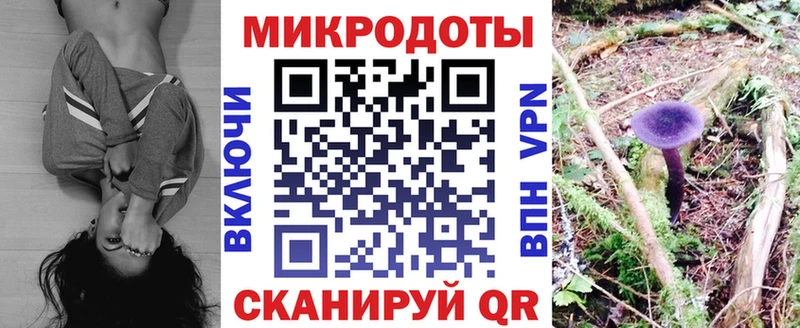 Галлюциногенные грибы Psilocybe  Оренбург 